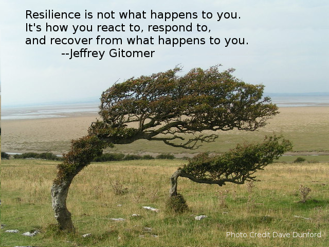 Resilience is not what happens to you. It's how you react to, respond to, and recover from what happens to you. --Jeffrey Gitomer